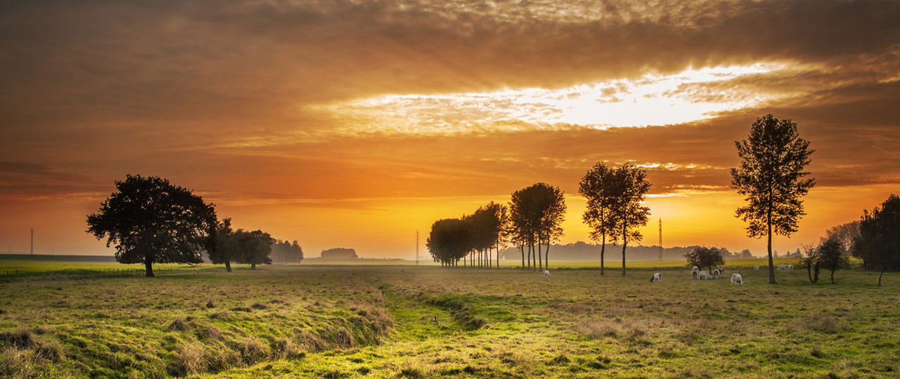 【破解补丁】免费的轰炸系统防护