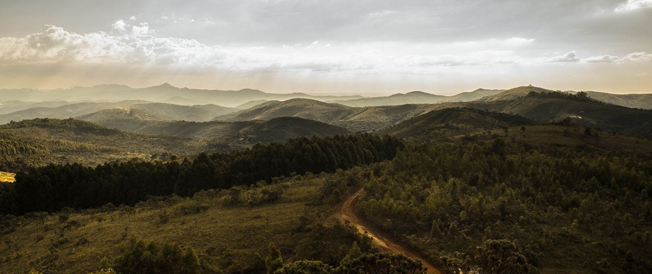 手机号轰在线网页版入口