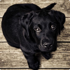 小七短信在线网页轰炸