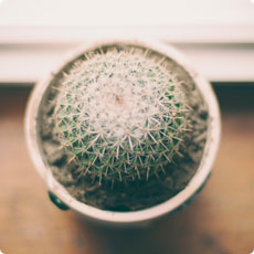 手机号轰炸业务网