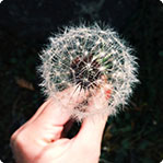 手机号轰在线网页版入口